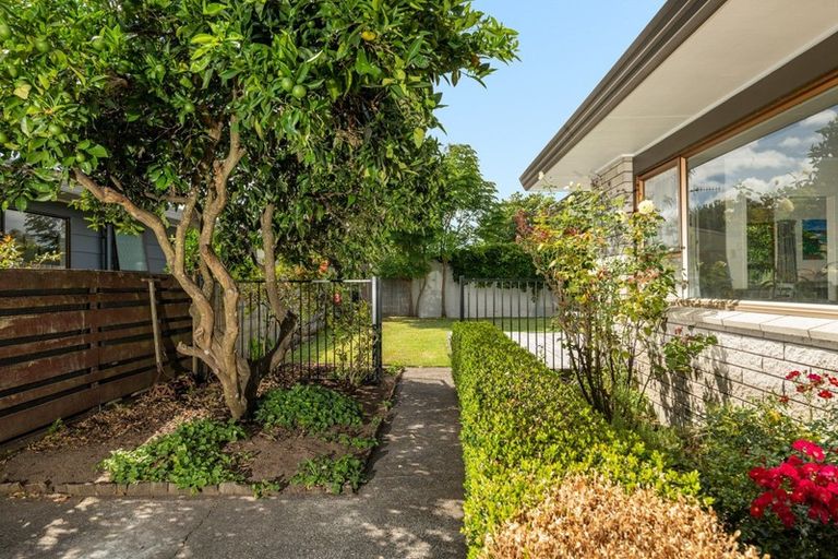Photo of property in 84b Fraser Street, Tauranga South, Tauranga, 3112