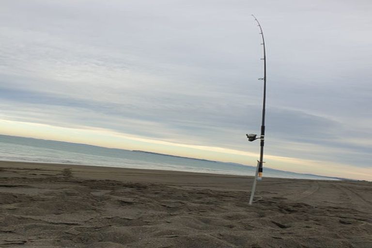 Photo of property in 171 Whirinaki Road, Eskdale, Napier, 4182