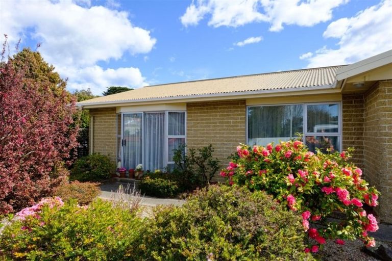 Photo of property in 69b Ravelston Street, Musselburgh, Dunedin, 9013