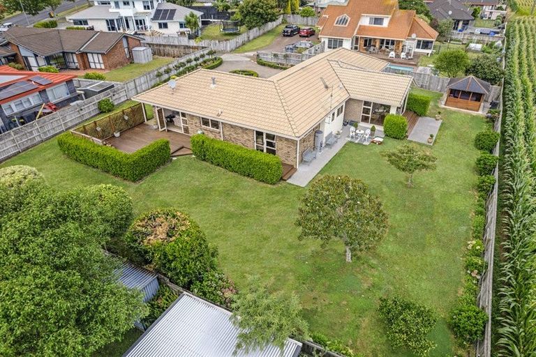 Photo of property in 244 Grandview Road, Western Heights, Hamilton, 3200