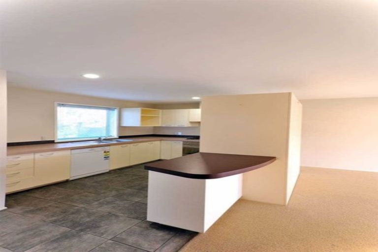 Photo of property in 19 Whiteleigh Avenue, Addington, Christchurch, 8024