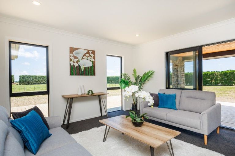 Photo of property in 167 Spur Road West, Colyton, Feilding, 4775