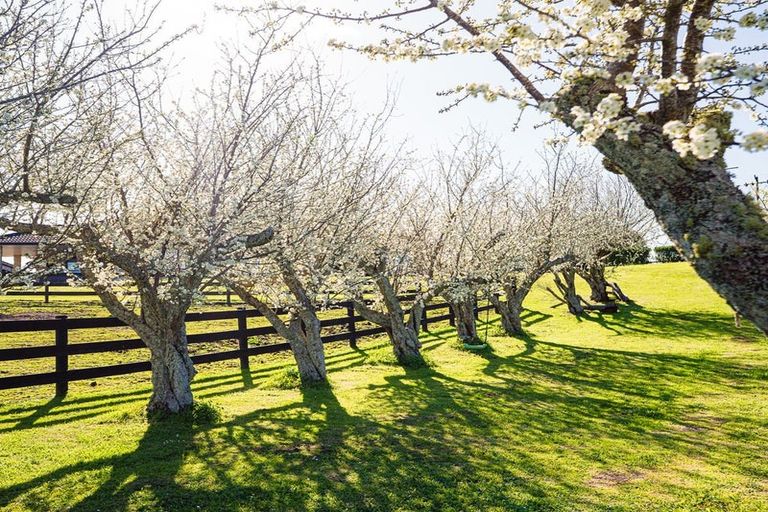 Photo of property in 48 Travers Road, Te Kauwhata, 3782