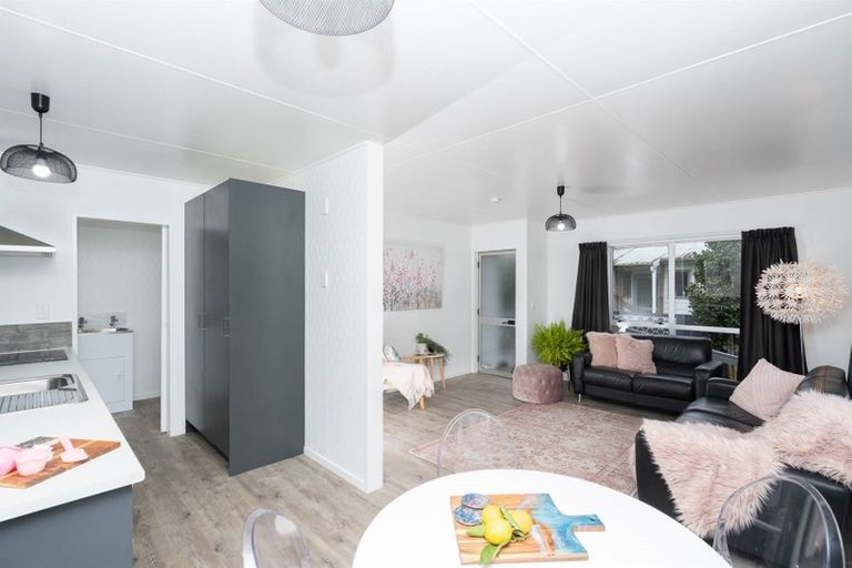 Photo of property in 381a Kahikatea Drive, Dinsdale, Hamilton, 3204