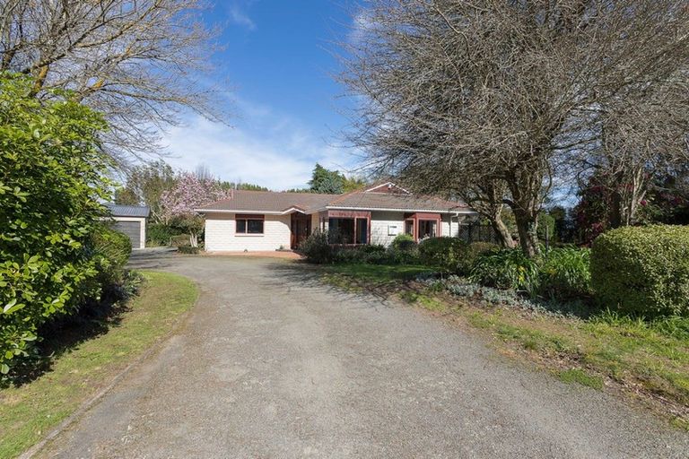 Photo of property in 10 Guinane Street, Dannevirke, 4930