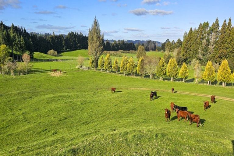 Photo of property in 94 Oturoa Road, Hamurana, 3072