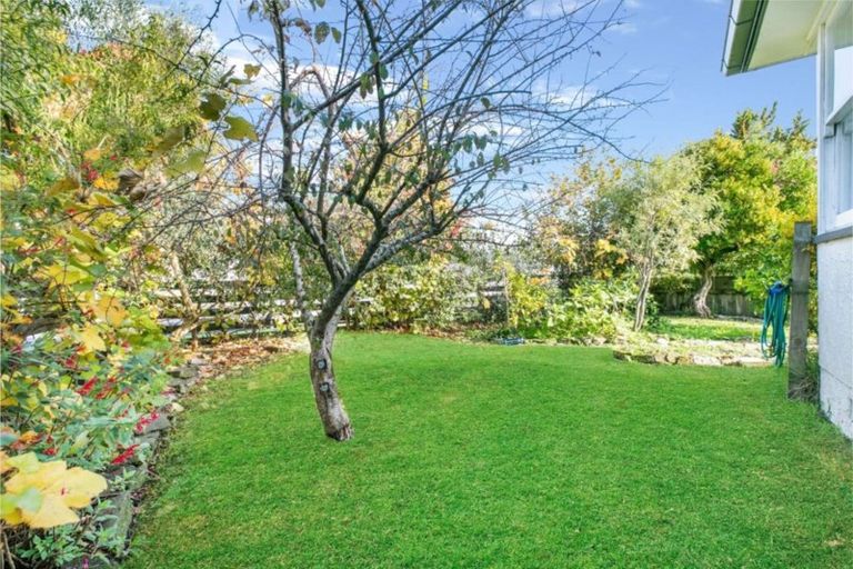 Photo of property in 30 Douglas Crescent, Fairfield, Hamilton, 3214