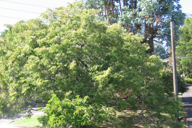 Photo of property in 77 Methuen Road, New Windsor, Auckland, 0600