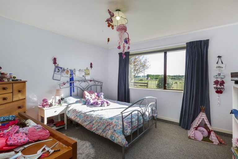 Photo of property in 136 Pharazyn Road, Feilding, 4777