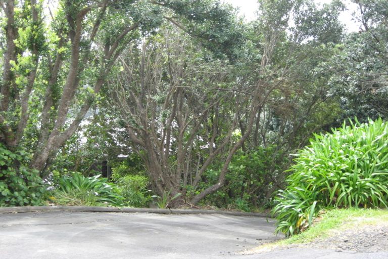 Photo of property in 31 Rayner Road, Piha, 0772