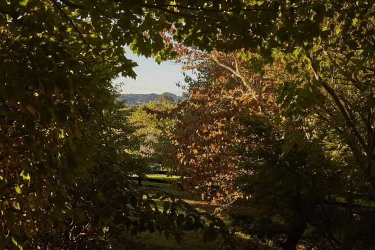 Photo of property in 165 Three Oaks Drive, Dairy Flat, Albany, 0794