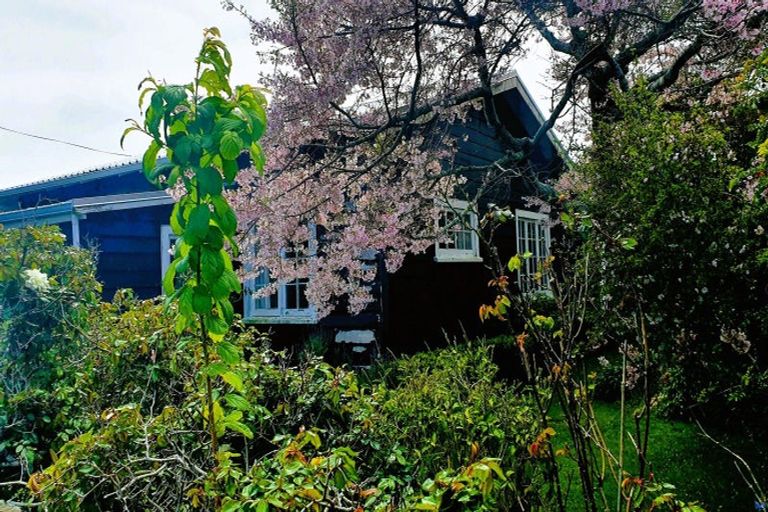 Photo of property in 2 Hoyle Place, New Plymouth, 4310