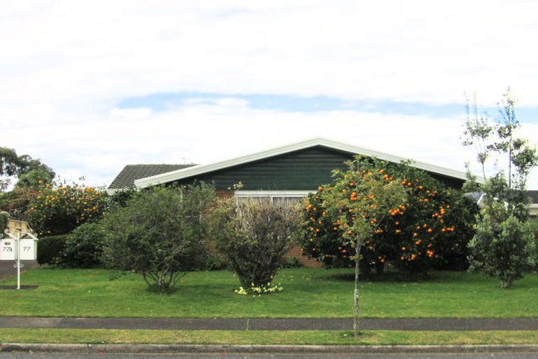 Photo of property in 77 Te Hono Street, Maungatapu, Tauranga, 3112
