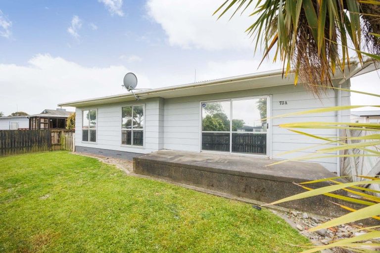 Photo of property in 73a Kaimanawa Street, Kelvin Grove, Palmerston North, 4414