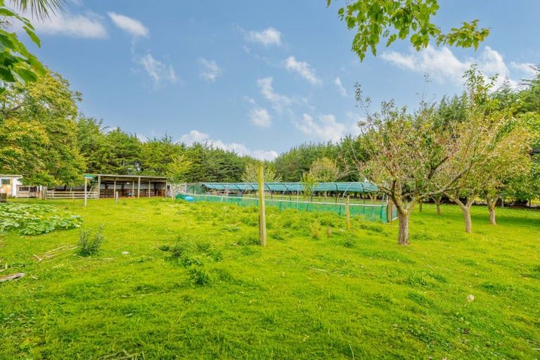 Photo of property in 16 Swamp Road, Ongaonga, 4272