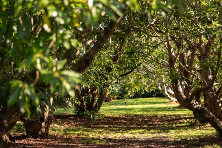 Photo of property in 10a Bridgman Lane, Tanners Point, Katikati, 3177