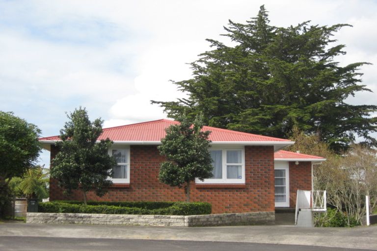 Photo of property in 14 Barclay Street, Ferndale, New Plymouth, 4310