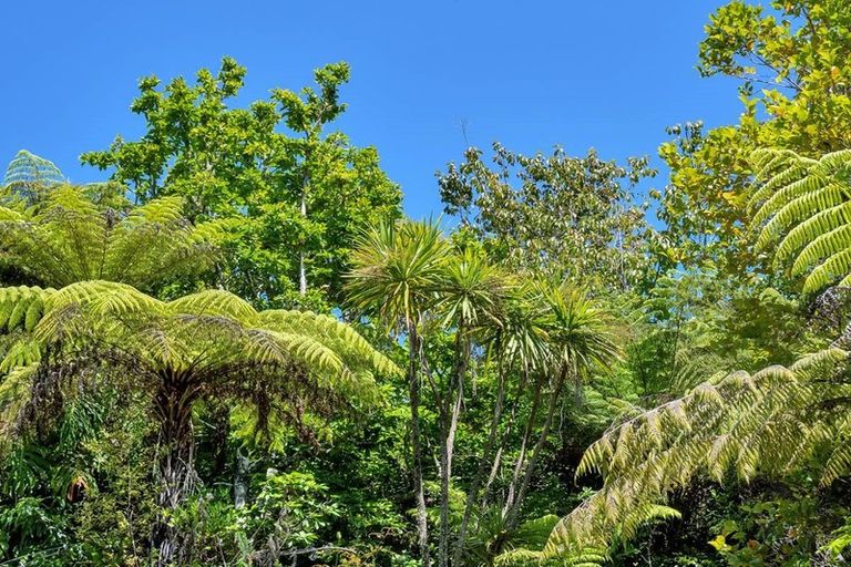 Photo of property in 42 Kopiko Road, Titirangi, Auckland, 0604