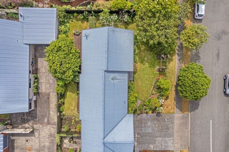 Photo of property in 147 Redwood Street, Redwoodtown, Blenheim, 7201