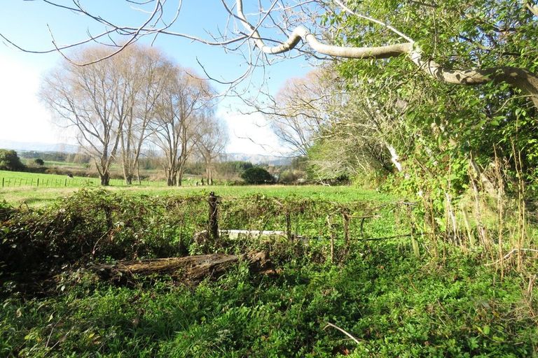 Photo of property in 25 Heatherlea Road East, Levin, 5571