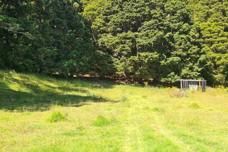 Photo of property in 444 Brown Road, Mangawhai, Kaiwaka, 0573