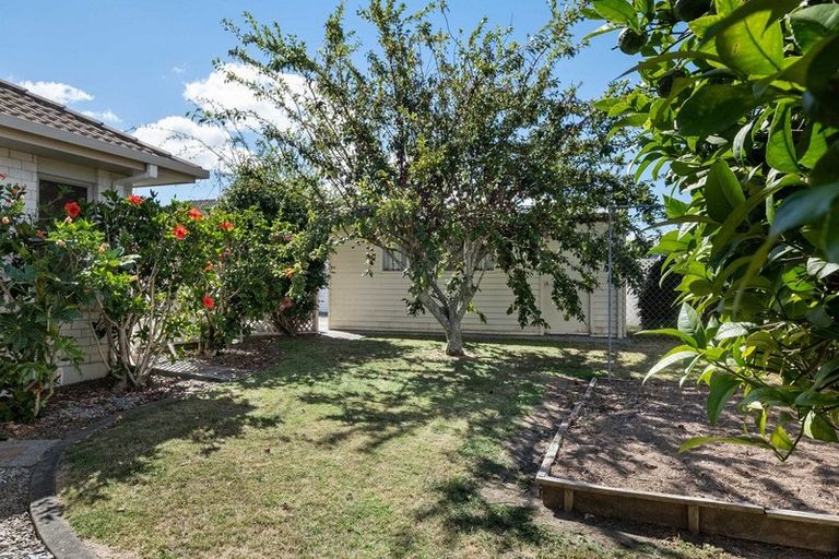 Photo of property in 6 Golden Heights, Hairini, Tauranga, 3112