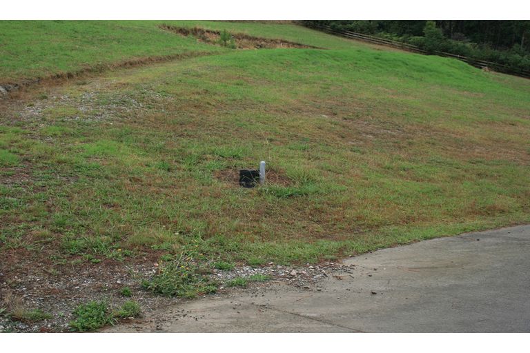 Photo of property in 731a Ridge Road, Riverhead, 0793