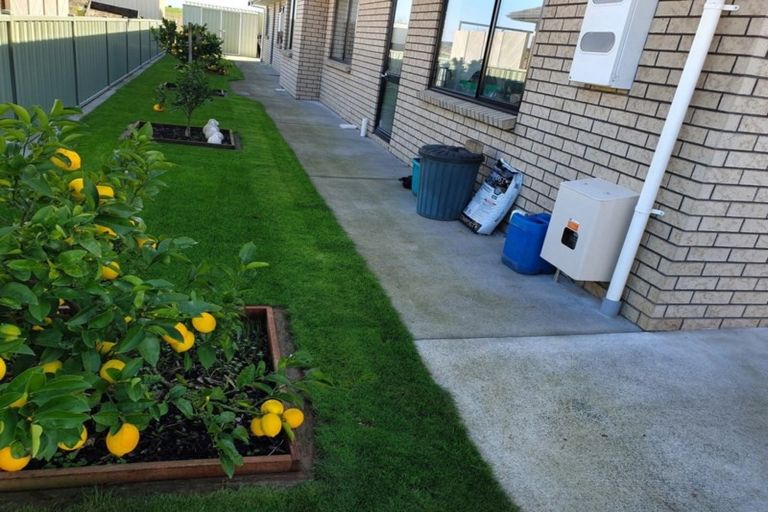 Photo of property in 30 Ballybunnion Crescent, Morrinsville, 3300