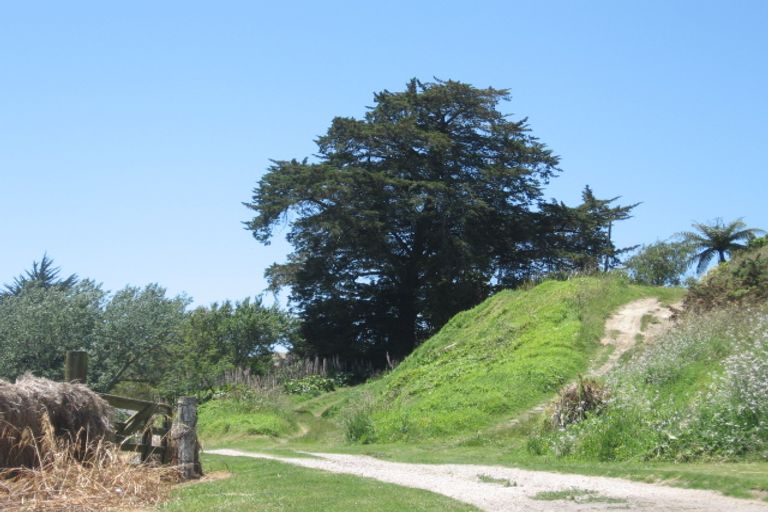 Photo of property in 664 Wilson Road North, Maketu, Paengaroa, 3189