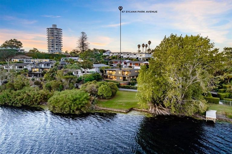 Photo of property in 47 Sylvan Park Avenue, Milford, Auckland, 0620