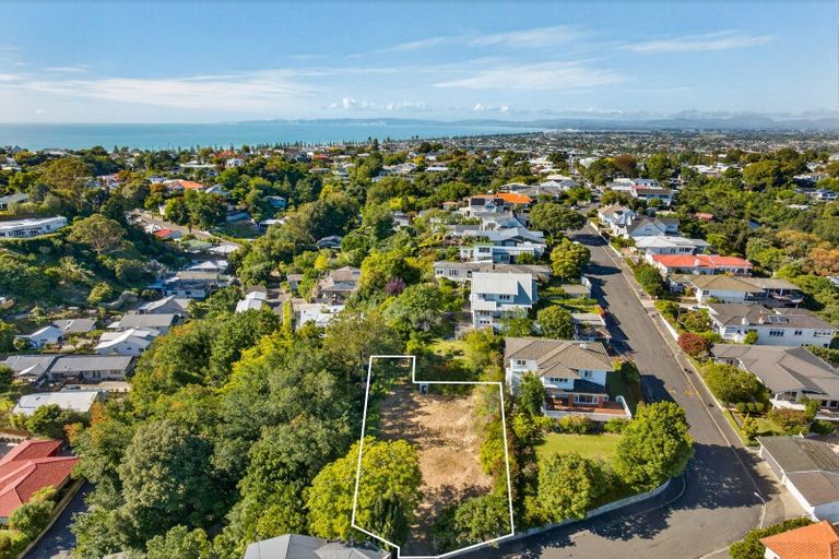 Photo of property in 19 Coleman Terrace, Hospital Hill, Napier, 4110