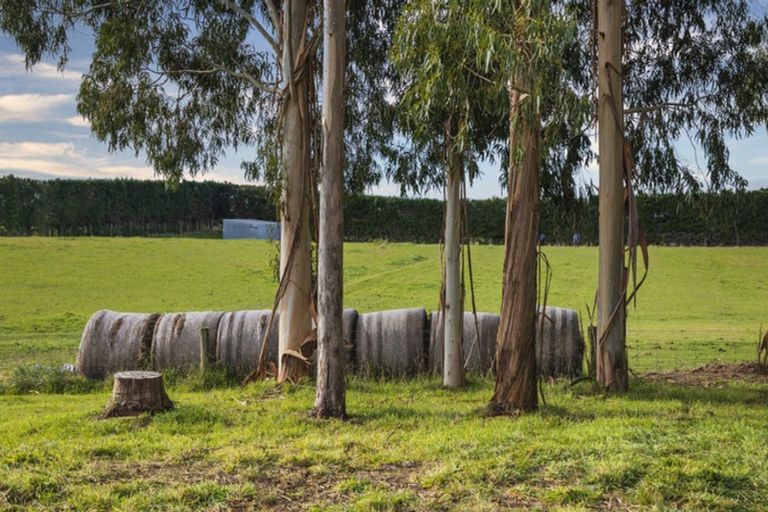 Photo of property in 780 Oxford Road, Fernside, Rangiora, 7471