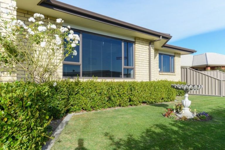 Photo of property in 22 Northwood Avenue, Mahora, Hastings, 4120