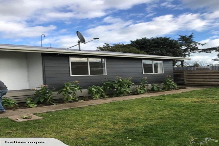 Photo of property in 25a Mako Mako Road, Levin, 5510