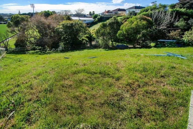 Photo of property in 20a East Street, Terrace End, Palmerston North, 4410