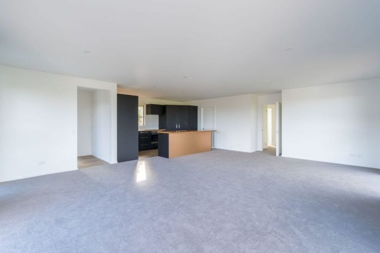 Photo of property in 26a Tower Avenue, Waverley, Dunedin, 9013