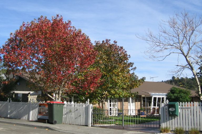 Photo of property in 24 Tanekaha Street, Stokes Valley, Lower Hutt, 5019
