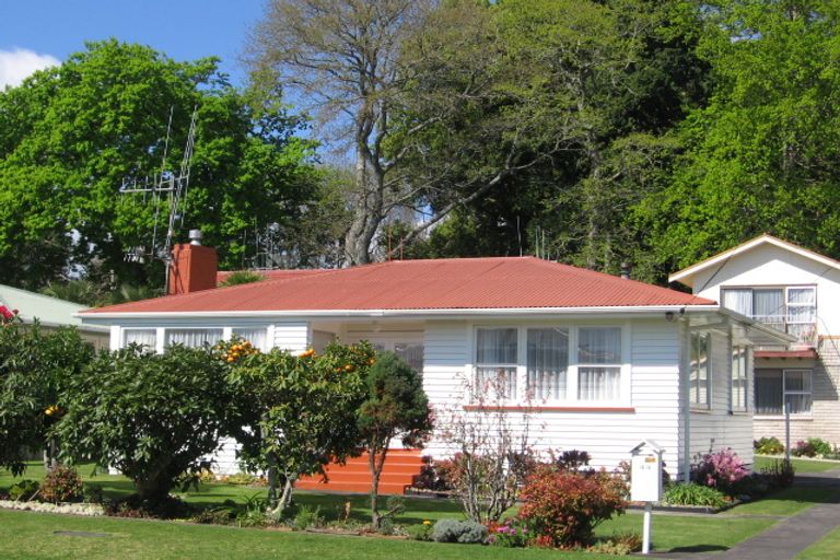 Photo of property in 44a Harrier Street, Parkvale, Tauranga, 3112