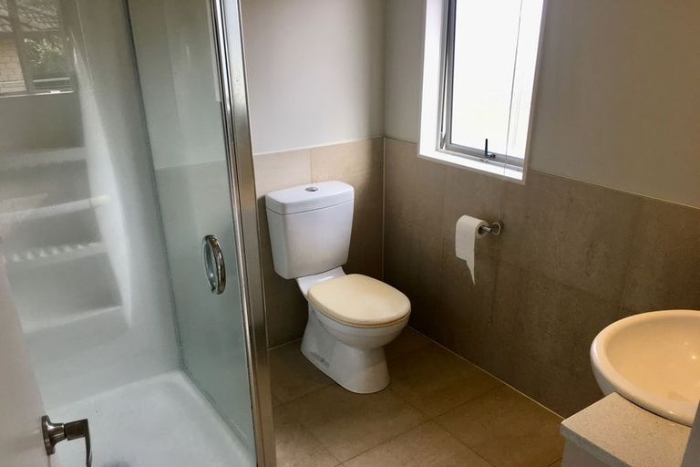 Photo of property in 45 Valderama Drive, Flat Bush, Auckland, 2019