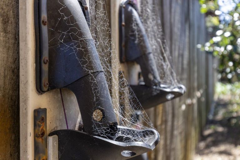 Photo of property in 2 Kanawa Street, Waikanae, 5036