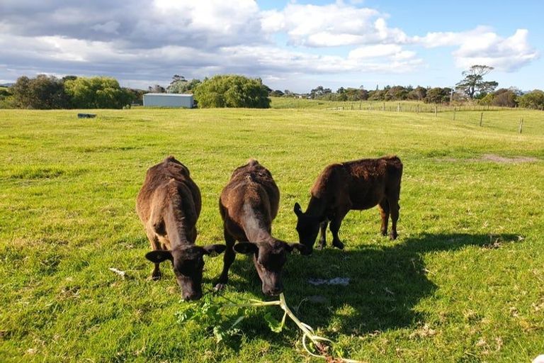 Photo of property in 5a Doctors Hill Road, Ruakaka, Waipu, 0582