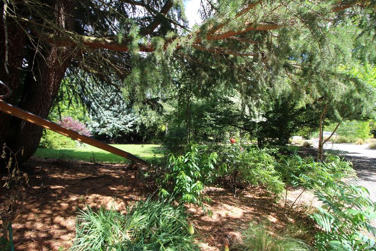 Photo of property in 38 Letts Gully Road, Letts Gully, Alexandra, 9393