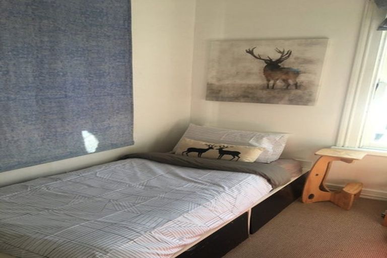 Photo of property in 44 Aro Street, Aro Valley, Wellington, 6021