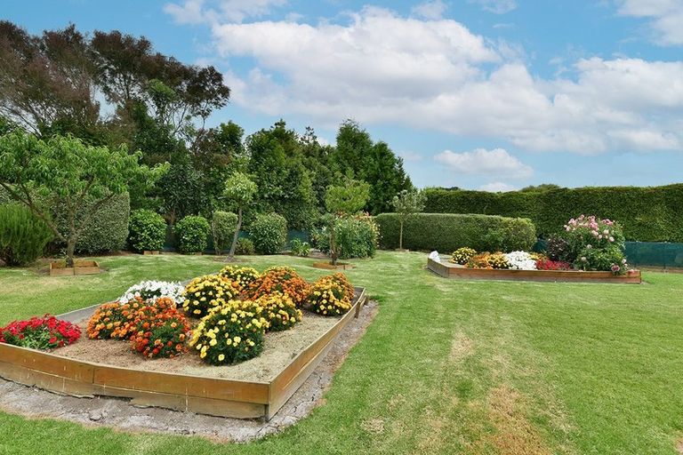 Photo of property in 57 Shelly Beach Road, Shelly Beach, Helensville, 0874