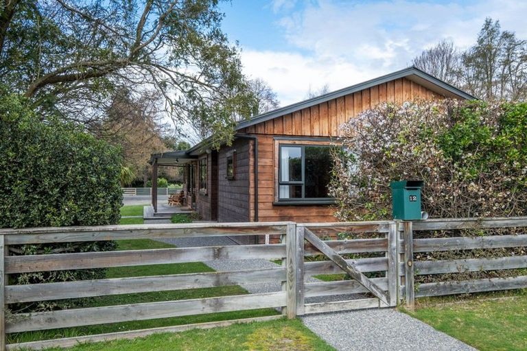 Photo of property in 12 Coles Street, Geraldine, 7930