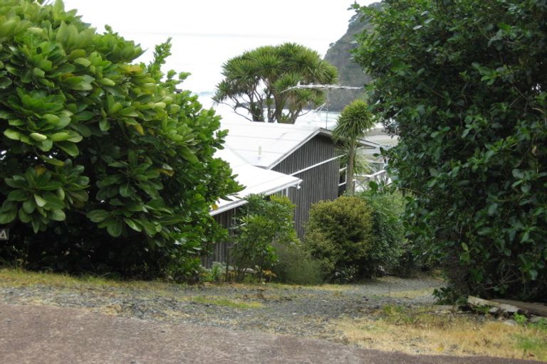 Photo of property in 35 Rayner Road, Piha, 0772
