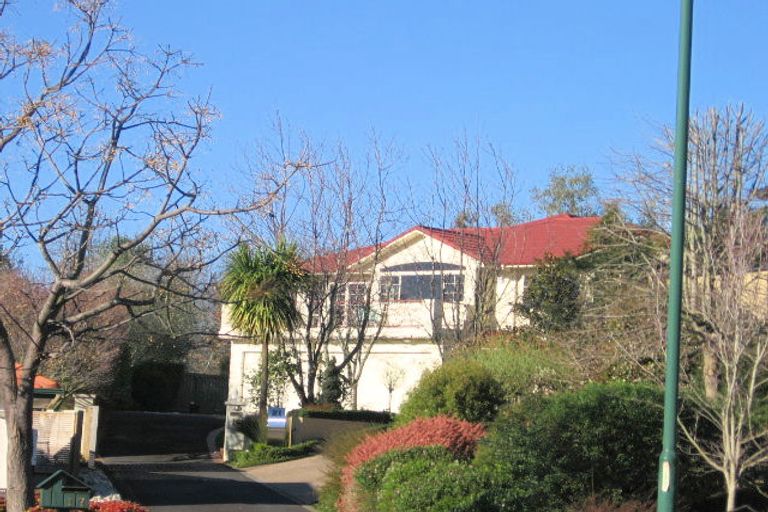 Photo of property in 19 Stella Place, Chartwell, Hamilton, 3210