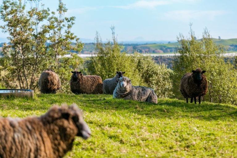 Photo of property in 307 Campbell Road, Pukehina, Te Puke, 3186