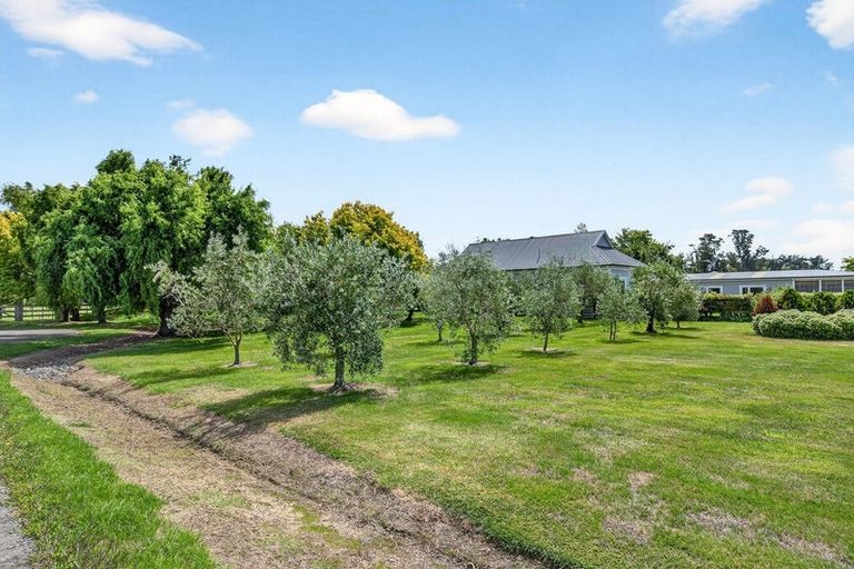 Photo of property in 3 Redwood Lane, Martinborough, 5711