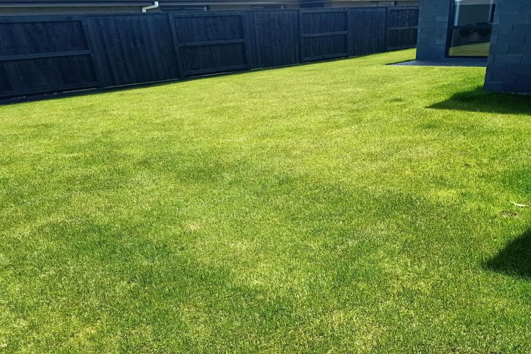 Photo of property in 13 Morrin Street, Morrinsville, 3300